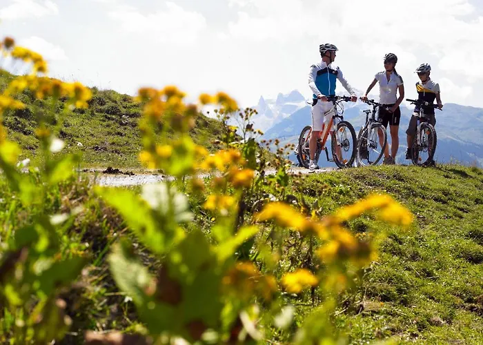 Helmreich-4 By Interhome アパート